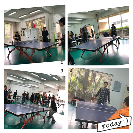 動(dòng)物小伙伴拍手祝賀特殊用途動(dòng)圖 動(dòng)物小伙伴拍手祝賀特殊用途動(dòng)圖